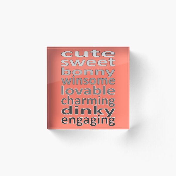 cute Acrylic Block