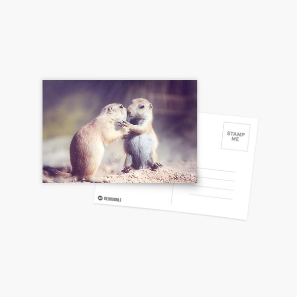I've Got a Secret Postcard