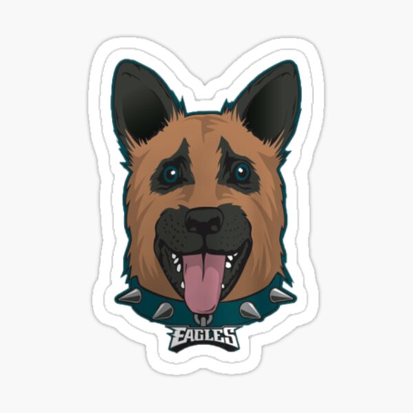 Philadelphia Eagles Dog Bowl Pet Products at Discount Pet Deals