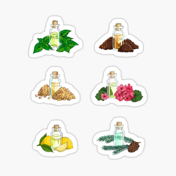 Sticker Set - Essential Oil Collection Sticker