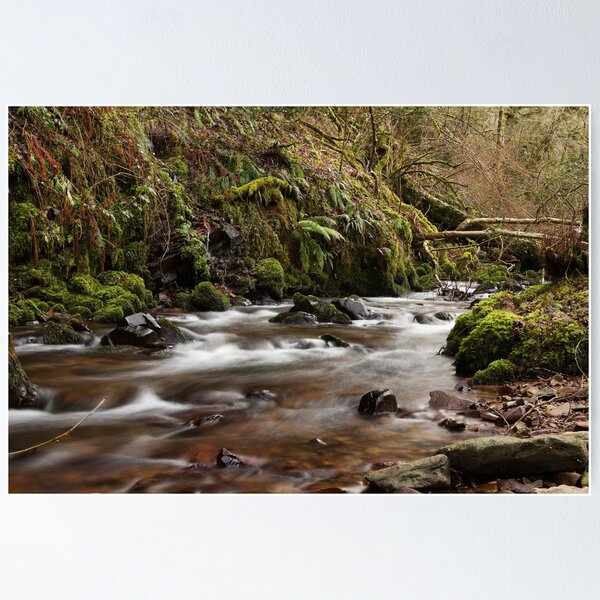 Item preview, Fast Flowing Horner Water designed and sold by kernuak.