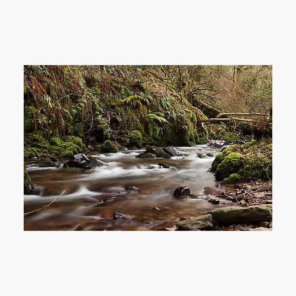 Item preview, Fast Flowing Horner Water designed and sold by kernuak.