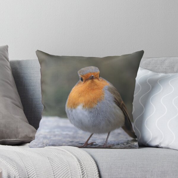 Item preview, Robin Redbreast designed and sold by carrizizi.