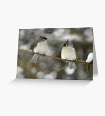 Waiting for Spring Greeting Card