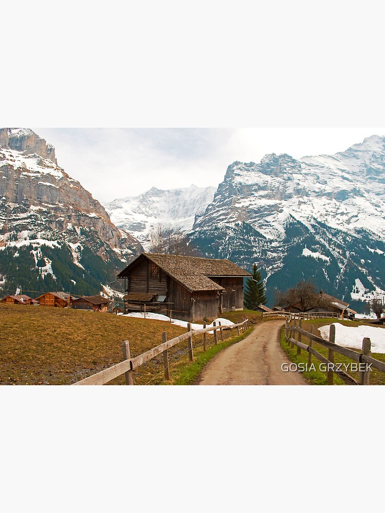 "Grindelwald Swiss" Poster for Sale by rosiczka Redbubble