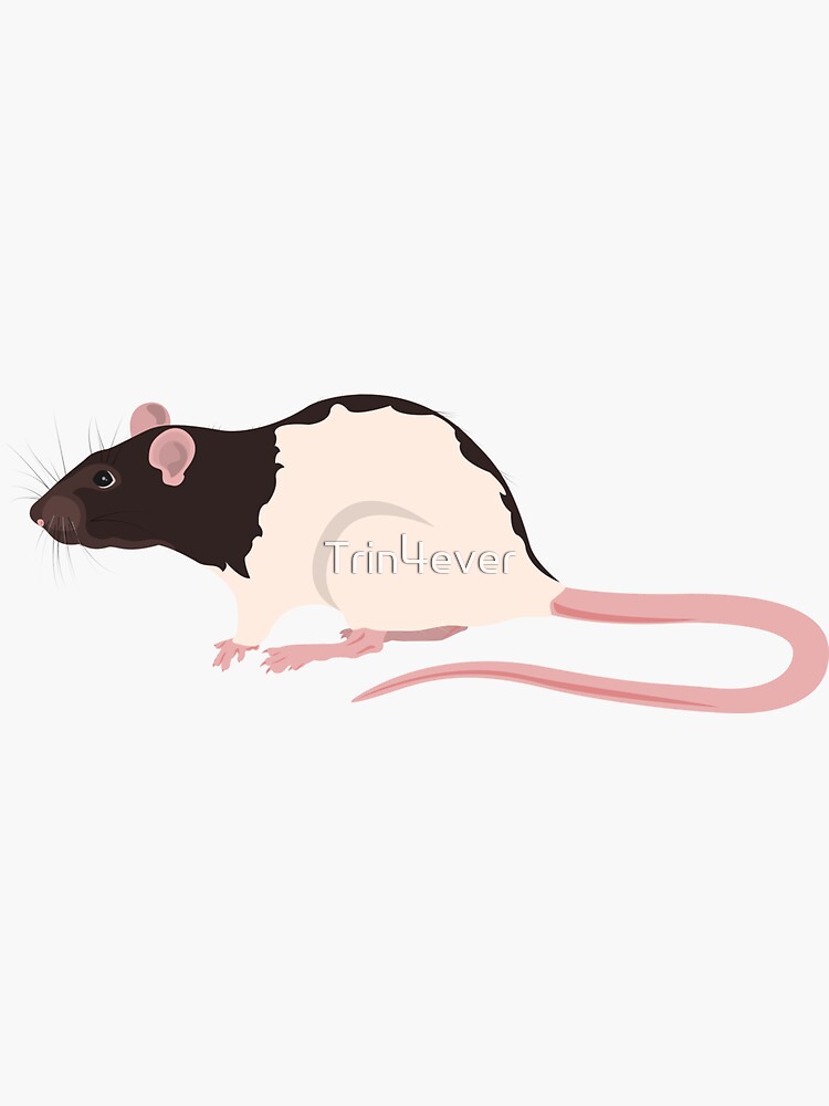 Hooded Rat by Trin4ever