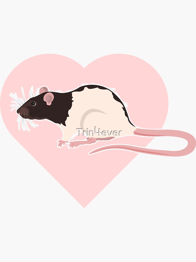 Hooded Rat with heart by Trin4ever