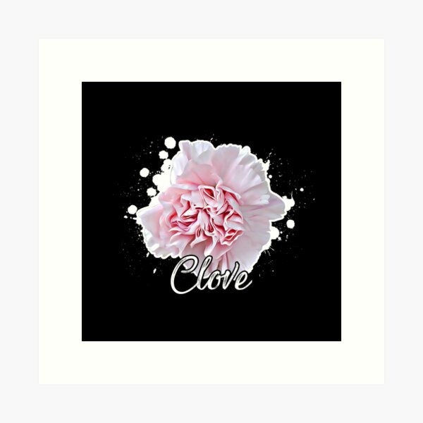 Clove Carnation. Fine art print.