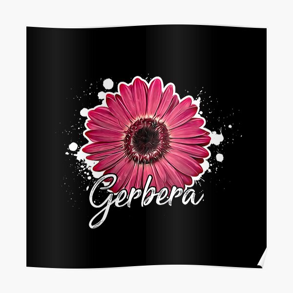 Gerbera Poster