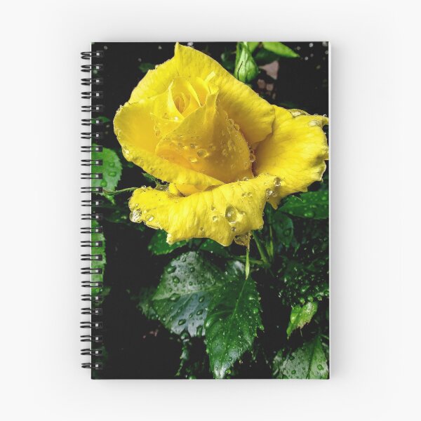 Item preview, Morning Rain designed and sold by Marilyn Schmidlin.