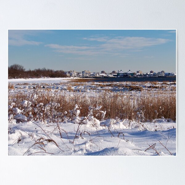 Item preview, Jamaica Bay Wildlife Refuge designed and sold by Dandelion Dilluvio.