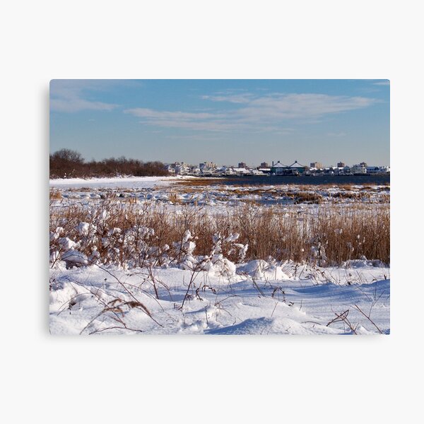 Item preview, Jamaica Bay Wildlife Refuge designed and sold by Dandelion Dilluvio.