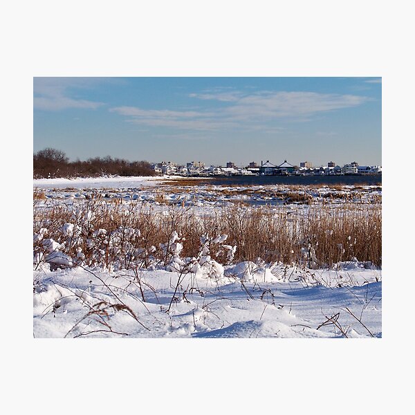 Item preview, Jamaica Bay Wildlife Refuge designed and sold by Dandelion Dilluvio.