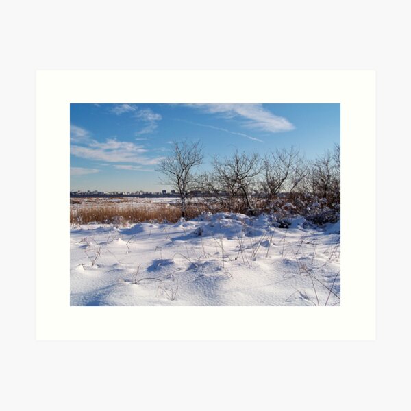 Item preview, Jamaica Bay Wildlife Refuge designed and sold by Dandelion Dilluvio.