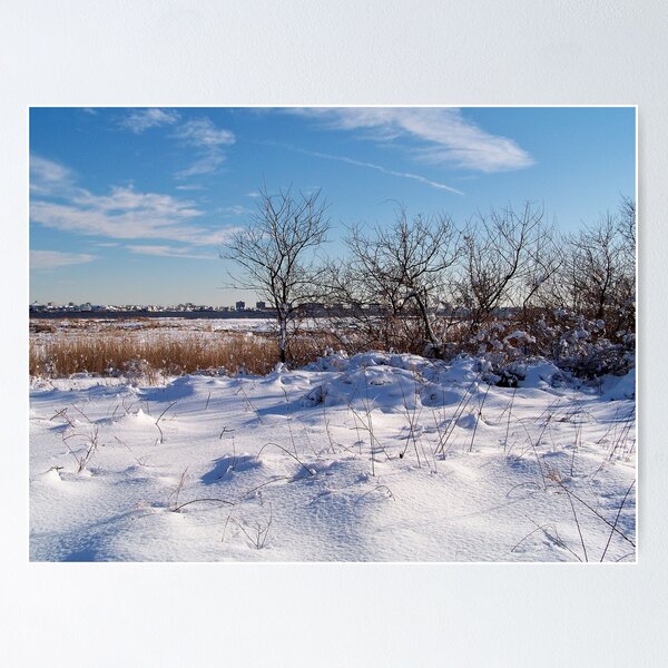 Item preview, Jamaica Bay Wildlife Refuge designed and sold by Dandelion Dilluvio.