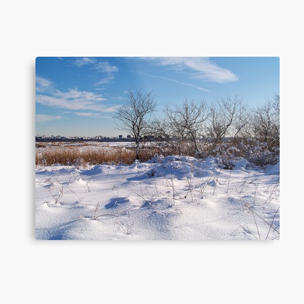 Jamaica Bay Wildlife Refuge Metal Print