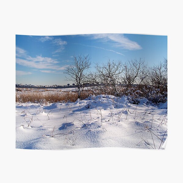Jamaica Bay Wildlife Refuge Poster