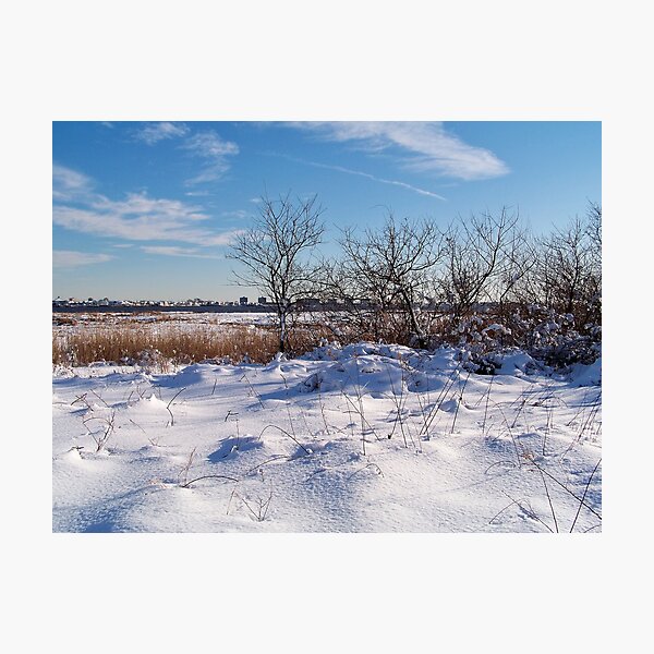 Item preview, Jamaica Bay Wildlife Refuge designed and sold by Dandelion Dilluvio.
