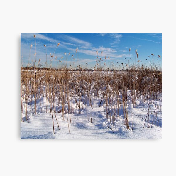 Item preview, Jamaica Bay Wildlife Refuge designed and sold by Dandelion Dilluvio.