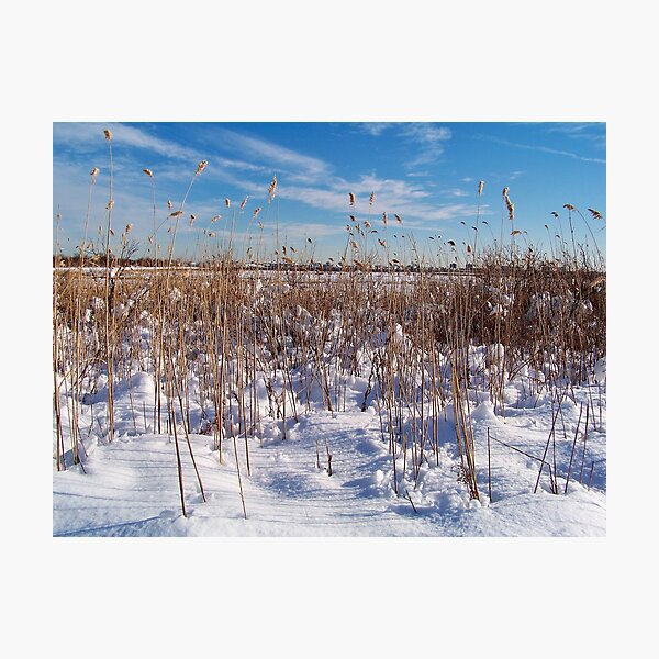 Item preview, Jamaica Bay Wildlife Refuge designed and sold by Dandelion Dilluvio.