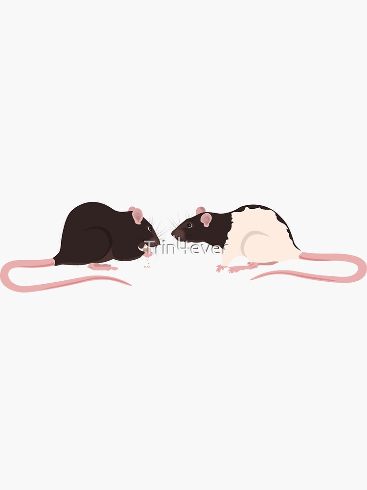 Brown Rattie with Hooded Rattie by Trin4ever