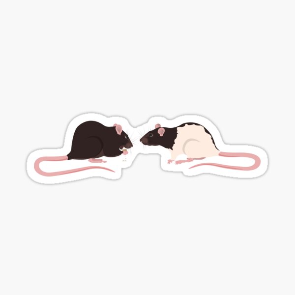 Brown Rattie with Hooded Rattie Sticker