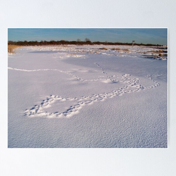 Item preview, Jamaica Bay Wildlife Refuge designed and sold by Dandelion Dilluvio.