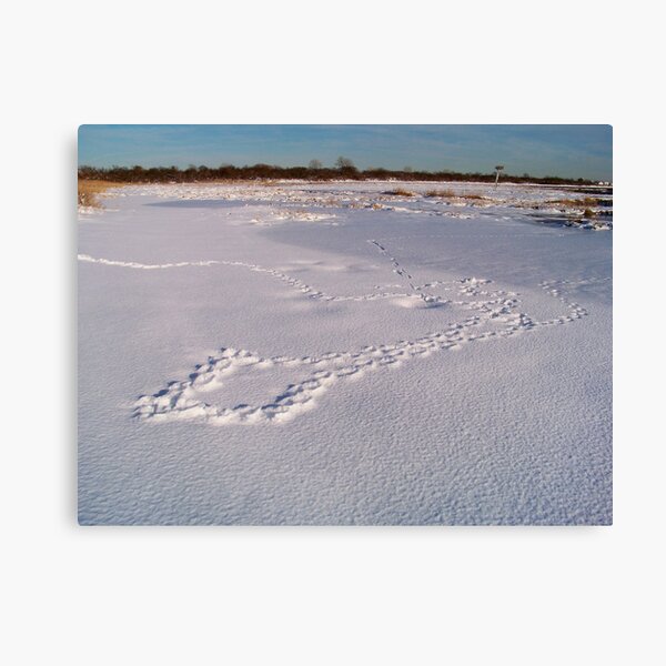 Item preview, Jamaica Bay Wildlife Refuge designed and sold by Dandelion Dilluvio.