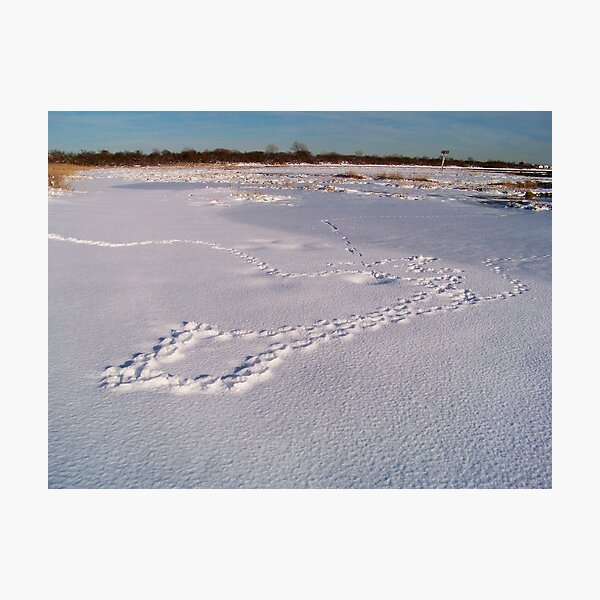 Item preview, Jamaica Bay Wildlife Refuge designed and sold by Dandelion Dilluvio.