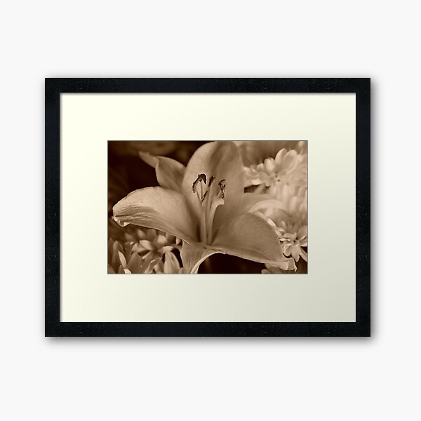 Item preview, Sepia petals designed and sold by mltrue.