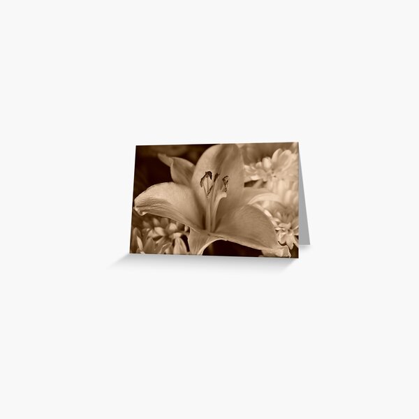 Item preview, Sepia petals designed and sold by mltrue.