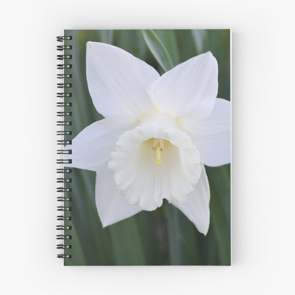 Item preview, Purely White designed and sold by Kathleen Brant.