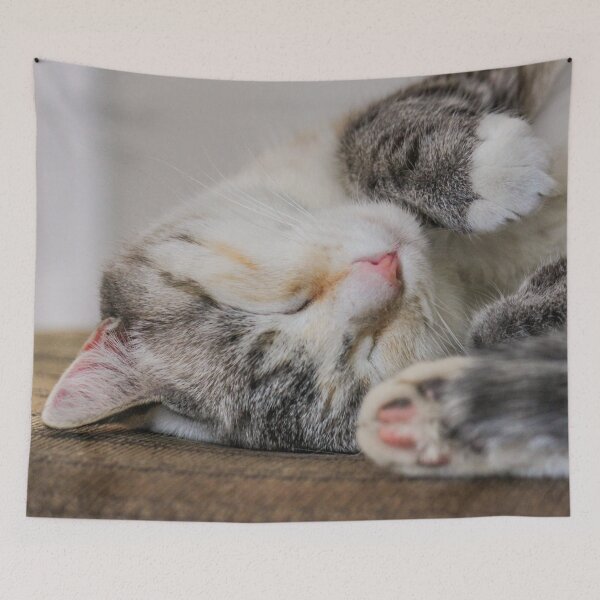 Item preview, Time For A Cat Nap designed and sold by greenhumbirdcre.