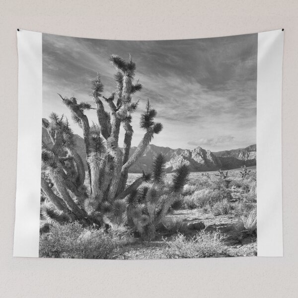 Item preview, Joshua Tree, Red Rock Canyon National Conservation Area, Nevada designed and sold by Rodney Johnson.
