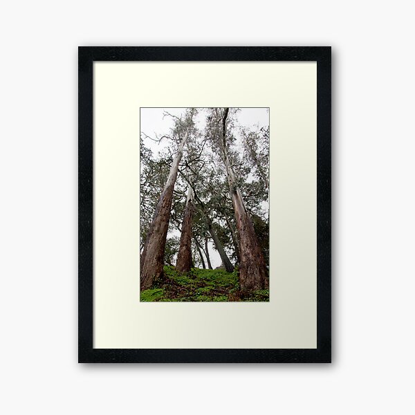 Item preview, Strawberry Hill designed and sold by Jarede Schmetterer.