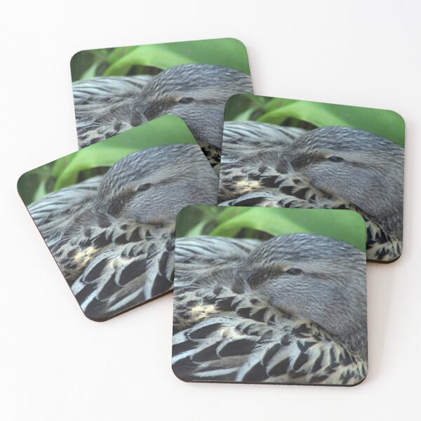 Item preview, Sleepy mallard duck close-up 2 designed and sold by Anna Lemos.