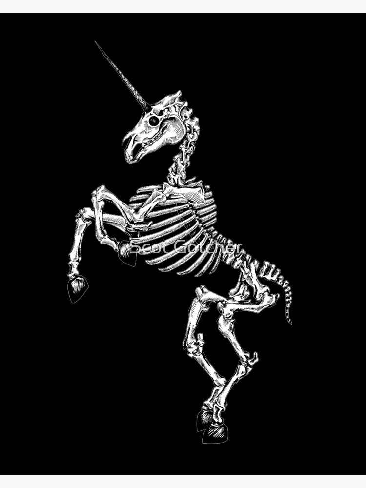 Unicorn Skeleton - Daily Blog Zone