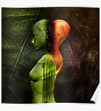 METAMORPHOSIS Poster