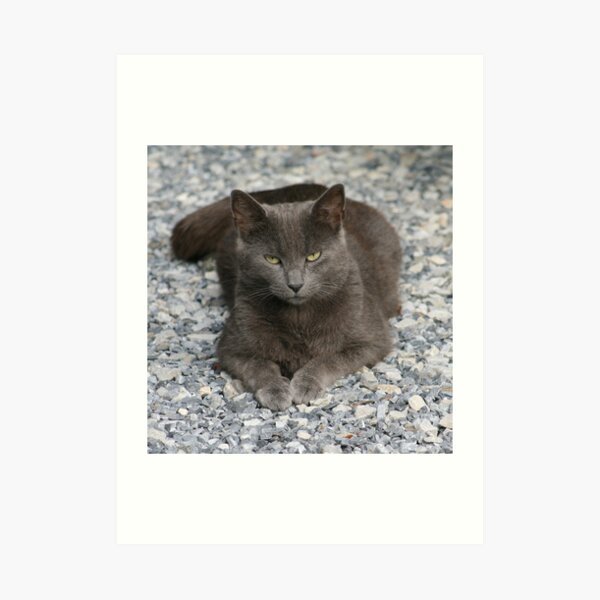 My name is Mr. Saint James Art Print