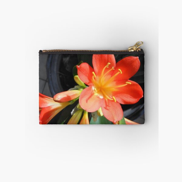 Item preview, Tangerine Dream designed and sold by Kashmere1646.
