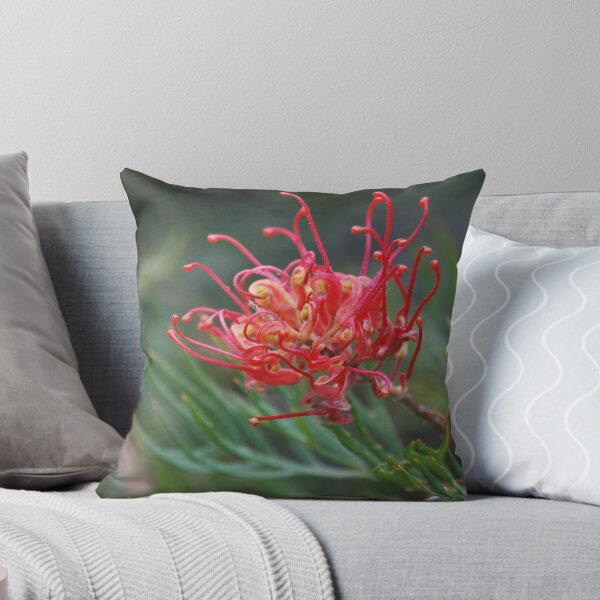 Artikelvorschau, Australien
Nikon D-60 entworfen und verkauft von Lozzar Flowers & Art.