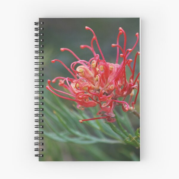 Item preview, Soft Grevillea designed and sold by Lozzar Flowers & Art.