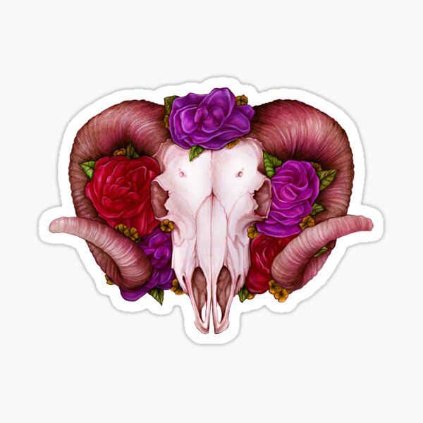 Ram Skull Sticker