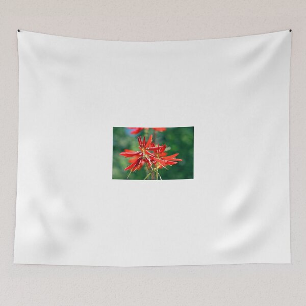 Item preview, Coral Bean designed and sold by RichImage.