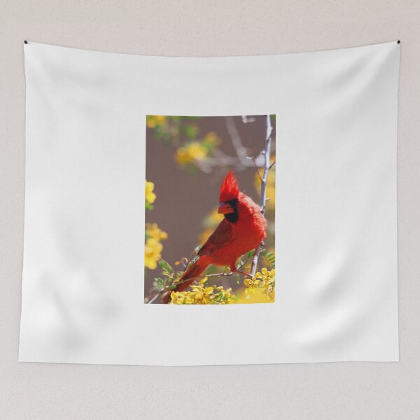 Item preview, Cardinal in the Desert designed and sold by RichImage.