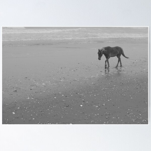Item preview, Caballo en Corolla designed and sold by Lynnrmorris.