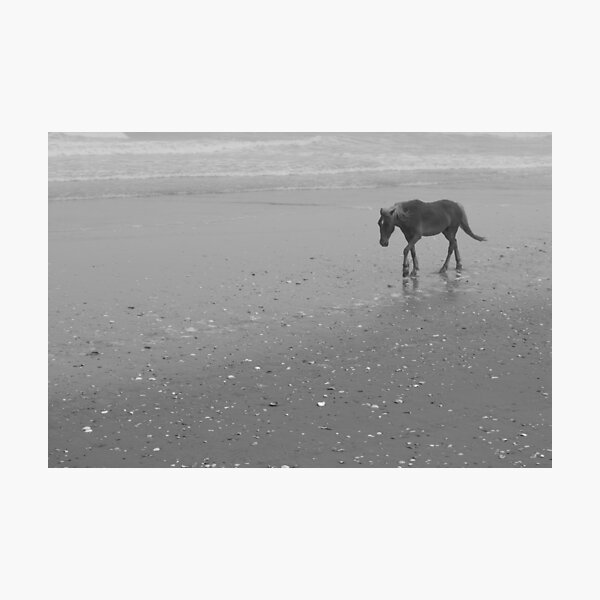 Item preview, Horse on Corolla designed and sold by Lynnrmorris.