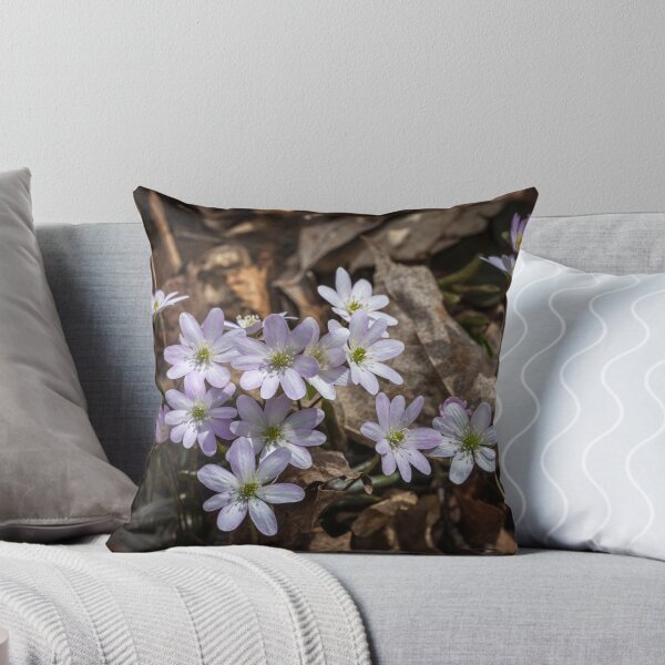 Item preview, Round-lobed Liverleaf designed and sold by PhotosByHealy.