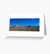 Saguaro National Park Greeting Card
