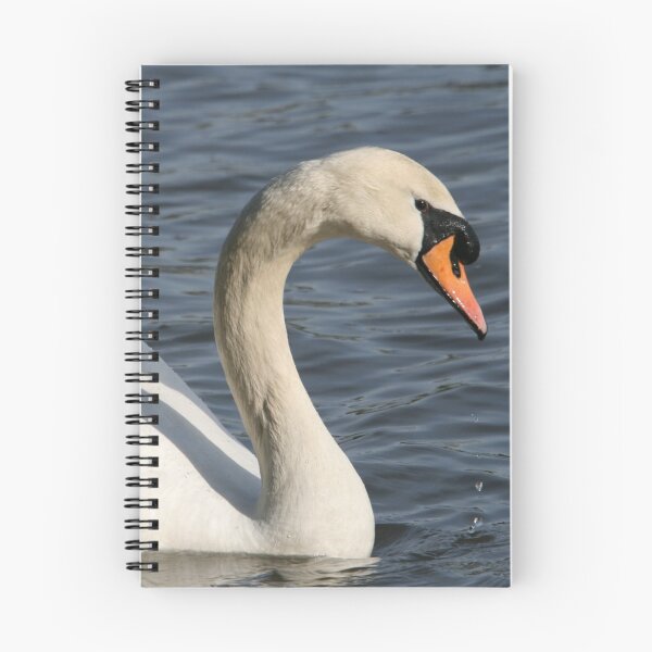 Item preview, Swan of the Lost Lagoon... designed and sold by RichImage.